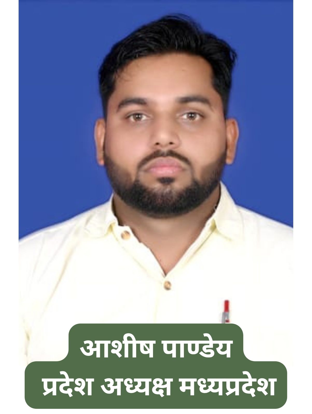 आशीष पाण्डेय प्रदेश अध्यक्ष मध्यप्रदेश